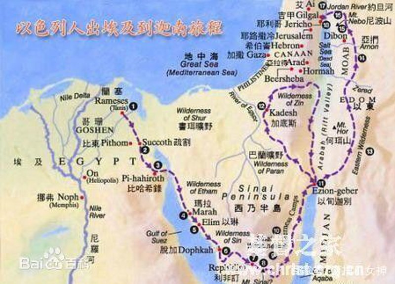 板式家具：现代家居的百变魔术师